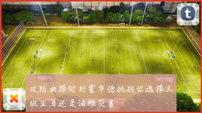 攻防抉择时刻霍华德挑战你选择文班亚马还是诺维茨基